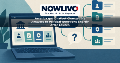 Illustration of a government services chatbot with one response leading to service folders and another turning into a question mark.