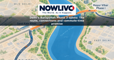 Stylized map illustration showing the new elevated connection from Mayur Vihar Phase I across the Yamuna to Sarai Kale Khan and onward towards South Delhi.