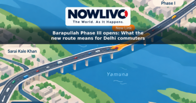 Conceptual map-style illustration of an elevated road linking Mayur Vihar Phase I across the Yamuna to Sarai Kale Khan and the Barapullah route towards South Delhi.