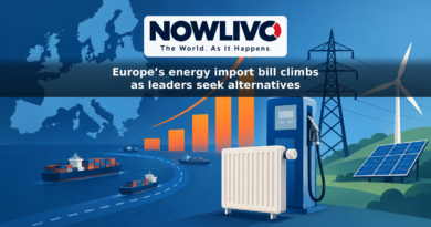 Conceptual illustration of Europe, a radiator and fuel pump beneath rising cost bars, with electricity and renewable-energy symbols nearby.