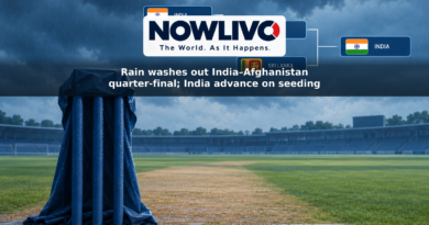 Illustration of a rain-covered cricket pitch and a tournament bracket showing India advancing from an unplayed quarter-final against Afghanistan.