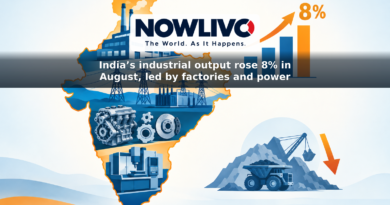 Illustrated map of India with a factory, power grid and machinery beside an 8% growth bar, and a smaller downward arrow for mining.