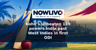 Conceptual cricket illustration featuring scores of 139 not out and 110 against a stylized stadium backdrop.
