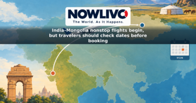 Illustrated aircraft route connecting New Delhi and Ulaanbaatar, with a calendar marking Monday service.