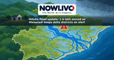 Conceptual illustration of the Mahanadi branching across coastal Odisha, with a flood warning symbol and shelters on higher ground.