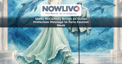 Conceptual illustration of ocean-inspired fashion beside stylized dolphins, sharks and blue waves.