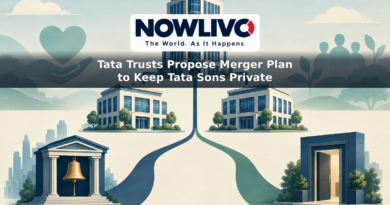 Illustration of two operating businesses joining a central holding company, with paths symbolising a public listing and continued private ownership.