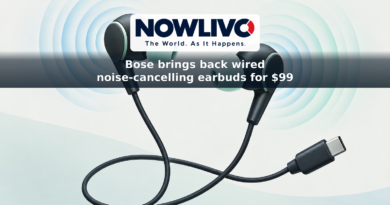 Conceptual illustration of wired USB-C earbuds with fading sound waves representing noise cancellation.