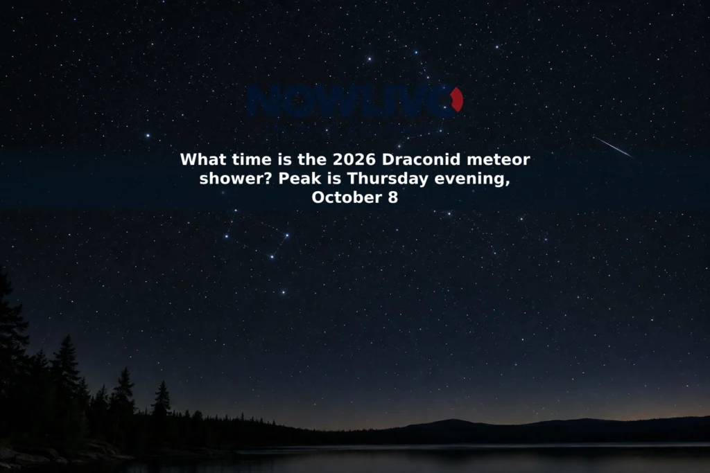 A single meteor crosses a dark, starry sky above a quiet landscape.