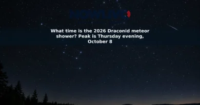A single meteor crosses a dark, starry sky above a quiet landscape.