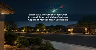 Artist’s depiction of a green-white meteor streak above an Arizona residential street at night.