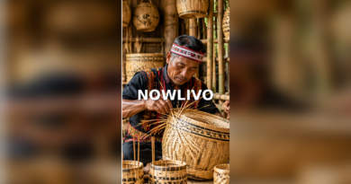 Bamboo Crafts of Northeast India — Materials, Makers and Care editorial illustration
