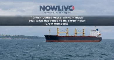 Contextual image of a cargo vessel at sea under an overcast sky; it does not depict the reported incident.