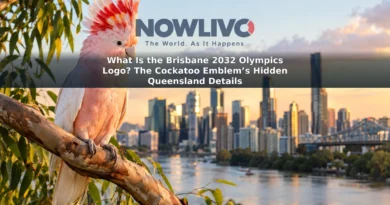 Pink cockatoo with its crest raised on a branch, with a softly blurred Brisbane skyline behind it.