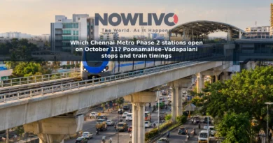 Illustrative view of a metro train travelling on an elevated line above a Chennai street.