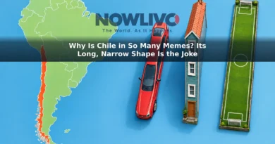 Illustration of Chile’s long outline beside fanciful narrow versions of a car, house and soccer field.
