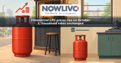 Illustration contrasting a larger commercial LPG cylinder at a restaurant with a smaller household cylinder at home; only the commercial side shows a price increase.