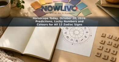 Zodiac wheel illustration beside coloured swatches and number tiles on a desk