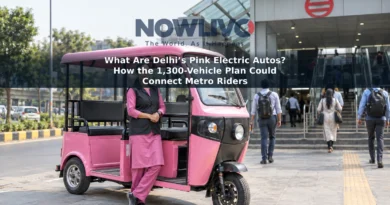 Illustrative scene of a pink electric autorickshaw and its driver near a Metro station entrance in Delhi.