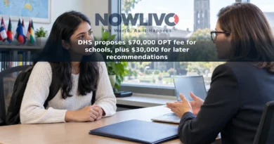 Adult student speaking with a university adviser about an OPT application in a campus office.