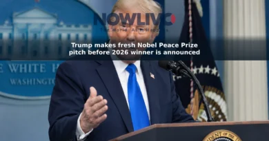 Editorial-style image of President Donald Trump speaking to reporters at the White House.