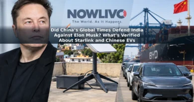 Editorial composite showing Elon Musk, a satellite internet dish in India and electric cars at a US port.