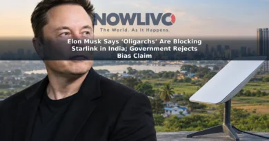 Editorial composite of Elon Musk beside a satellite internet dish and an Indian landscape.