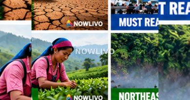 Editorial illustration associated with exploring nagaland homestays with cultural respect