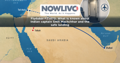Illustrated flight route showing a plane diverting from its Dubai-to-Tel Aviv journey to Tabuk, Saudi Arabia.