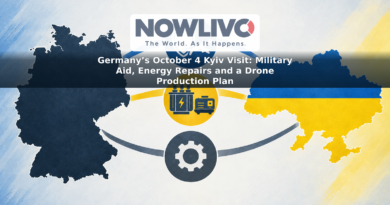 Conceptual illustration linking Germany and Ukraine with symbols for drone production, military support and energy-grid repairs.
