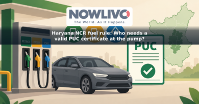 Illustration of a car at a fuel pump beside a PUC certificate checkmark and a stylised Haryana NCR map.