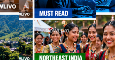 Editorial illustration associated with how ziro valley tourism can support local communities