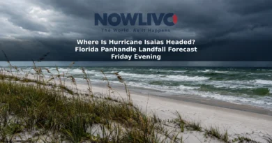 Illustrative view of rough Gulf Coast surf and dark clouds beyond beach dunes.
