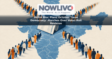 Conceptual illustration of district march routes converging on an electoral roll and ballot box.