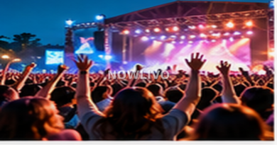 Editorial illustration of ticket tiers, stage production and crowd experience, representing the topic how festival concerts are changing the live entertainment experience in india.