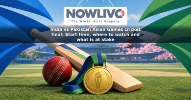 Illustration of a cricket bat, ball and gold medal with blue and green team-color shapes at a stylized ground.