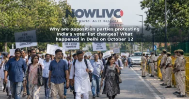 Illustration of adult protesters walking through New Delhi with placards about voter lists.