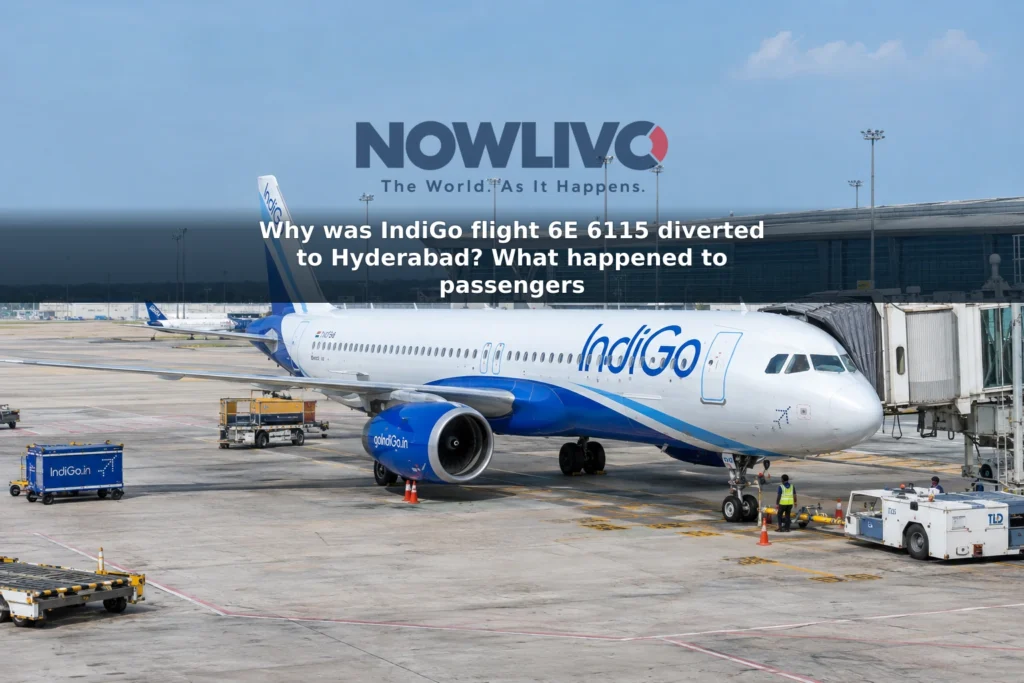 Illustrative view of an IndiGo aircraft parked at an airport gate.