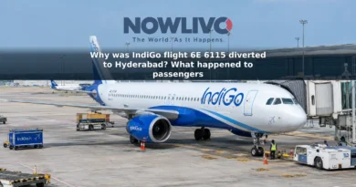 Illustrative view of an IndiGo aircraft parked at an airport gate.