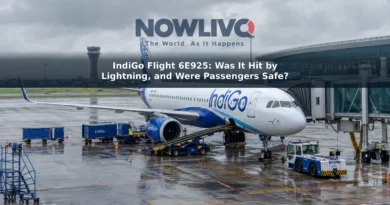 Editorial illustration of an IndiGo aircraft parked at an airport gate under cloudy skies.