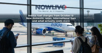 An IndiGo aircraft at an airport gate as travellers check their phones inside the terminal.