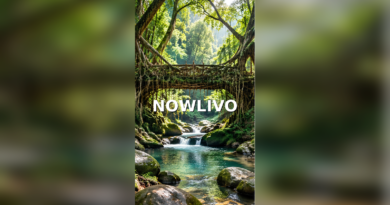 Meghalaya Living Root Bridges — Conservation and Visitor Etiquette editorial illustration
