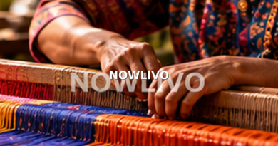 Indian artisan working with brightly coloured handloom threads on a traditional weaving loom