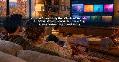 Two adults browse streaming choices on a television in a warmly lit living room.