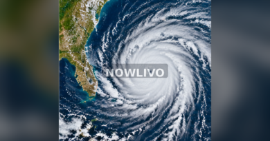 Satellite style depiction of hurricane swirling offshore Mexico; illustrative image with centered NOWLIVO watermark.