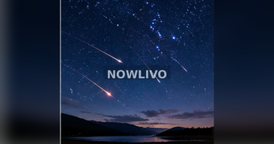 Meteor streaks across clear starry night sky; illustrative image with centered NOWLIVO watermark.