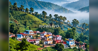 Lush Northeast Indian mountain valley with a river, cloud cover and a safe walking trail