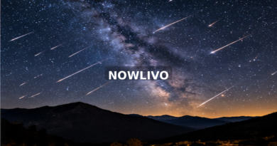 Bright meteors streaking across the night sky; editorial illustration with a centered NOWLIVO watermark