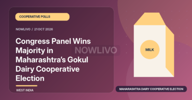 Original illustrated news graphic about maharashtra dairy cooperative election, with a horizontally and vertically centered NOWLIVO watermark.