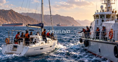 Editorial illustration of a small yacht beside a maritime rescue vessel in choppy water near Yemen’s rugged coastline.